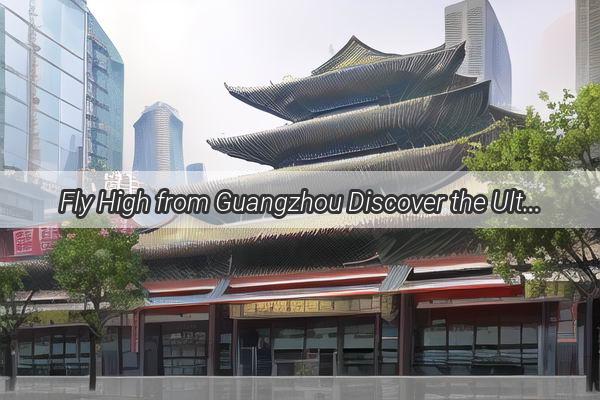 Fly High from Guangzhou Discover the Ultimate Guide to Reaching Tianhe International Airport